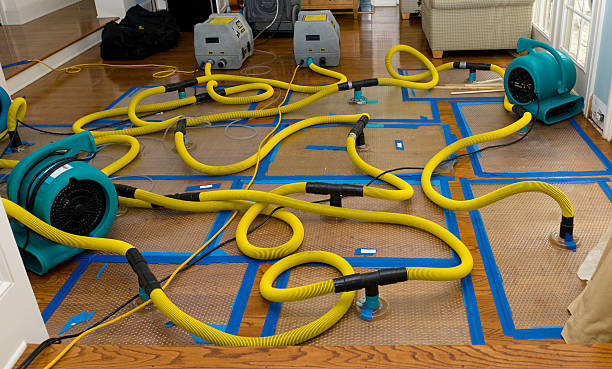 Professional Crawl Space Water Removal technician working in Guffey, CO